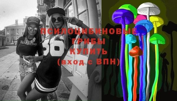 Альфа ПВП Абаза