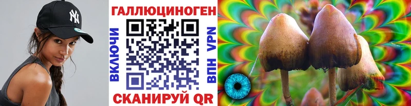 продажа наркотиков  Старый Крым  Псилоцибиновые грибы Psilocybine cubensis 